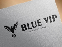 Blue Vip Travel