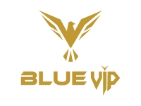 Blue Vip Travel